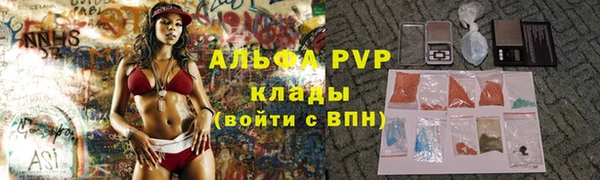 PSILOCYBIN Вяземский