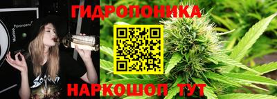 сатива Сланцы