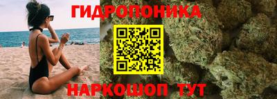 сатива Сланцы