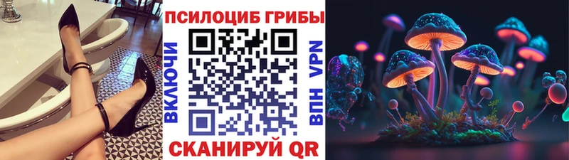 Псилоцибиновые грибы Psilocybine cubensis  наркошоп  Томск 