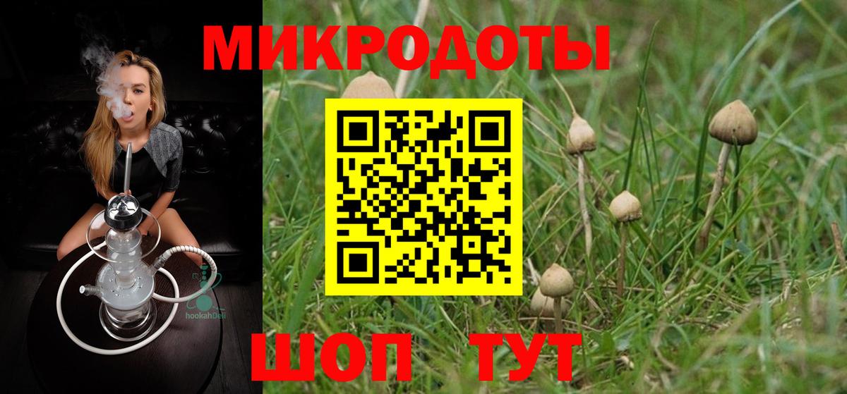 Псилоцибиновые грибы ЛСД  Псилоцибиновые грибы GOLDEN TEACHER  Томск  Вход с VPN 